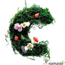 Luna mágica pequeña