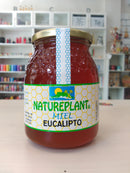 miel eucalipto