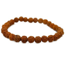 Pulsera Rudraksha 8mm