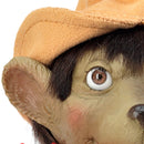 Ratón “colorao” (Felicidad, Ayuda en las Depresiones)