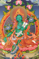 Estampa Tara verde 13x9 cm