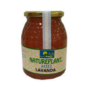MIEL LAVANDA (ESPLIEGO) NATUREP. 1KG