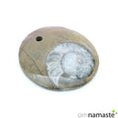 Colgante Fósil Amonite