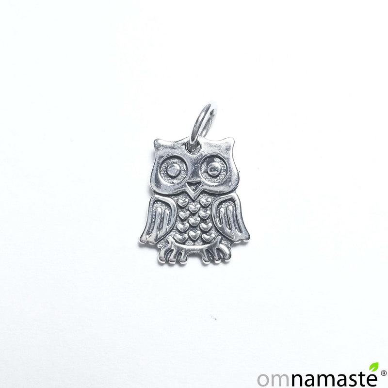 Charm Búho Plata
