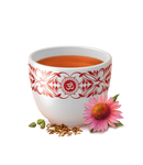 YogiTea Equinácea
