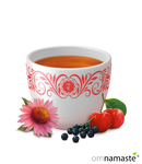 YogiTea Defensas Naturales BIO