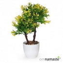 Arbolito doble hoja elíptica verde limón