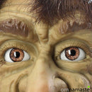 El Guardián de los Pantanos (Equilibrio mental, contra el estrés)