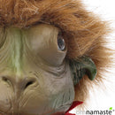 Sin Nombre (Libertad)